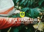 PROFIL DESA PANGAUR KECAMATAN JASINGA BOGOR