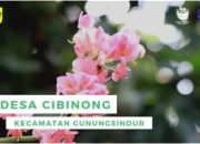 PROFIL CIBINONG GUNUNG SINDUR BOGOR