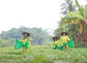 PROFIL CIBADAK CIAMPEA BOGOR